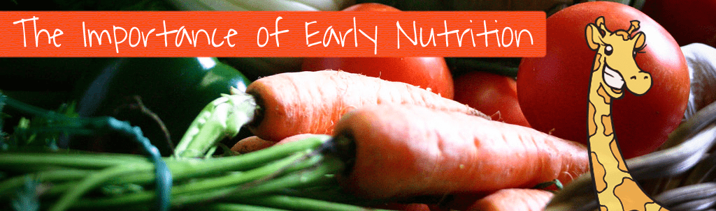 the importance of early nutrtion