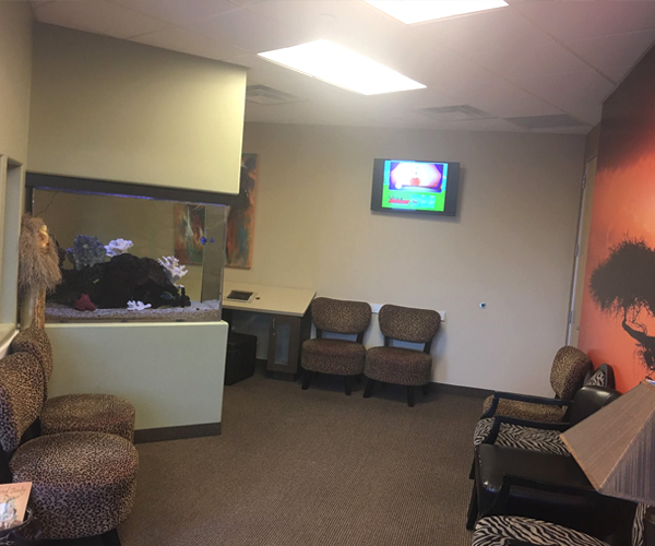 family dentist orthodontist element dental orthodontics north houston east texas TX locations huntsville exterior